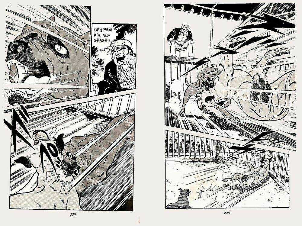 Chú Chó Có Nghĩa - Ginga Nagareboshi Gin Chapter 22 trang 13