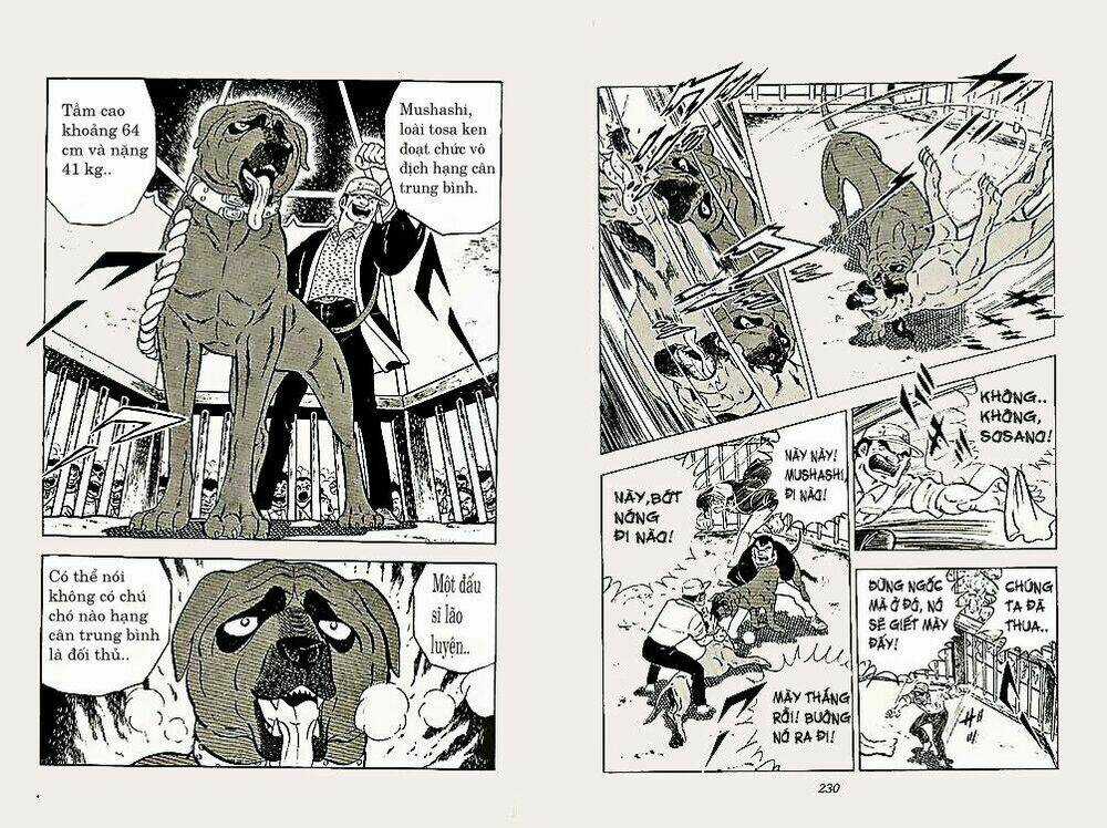 Chú Chó Có Nghĩa - Ginga Nagareboshi Gin Chapter 22 trang 14