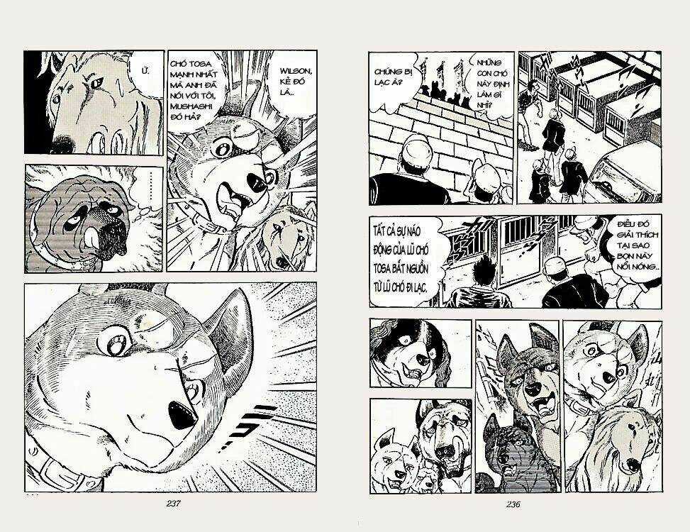 Chú Chó Có Nghĩa - Ginga Nagareboshi Gin Chapter 22 trang 17