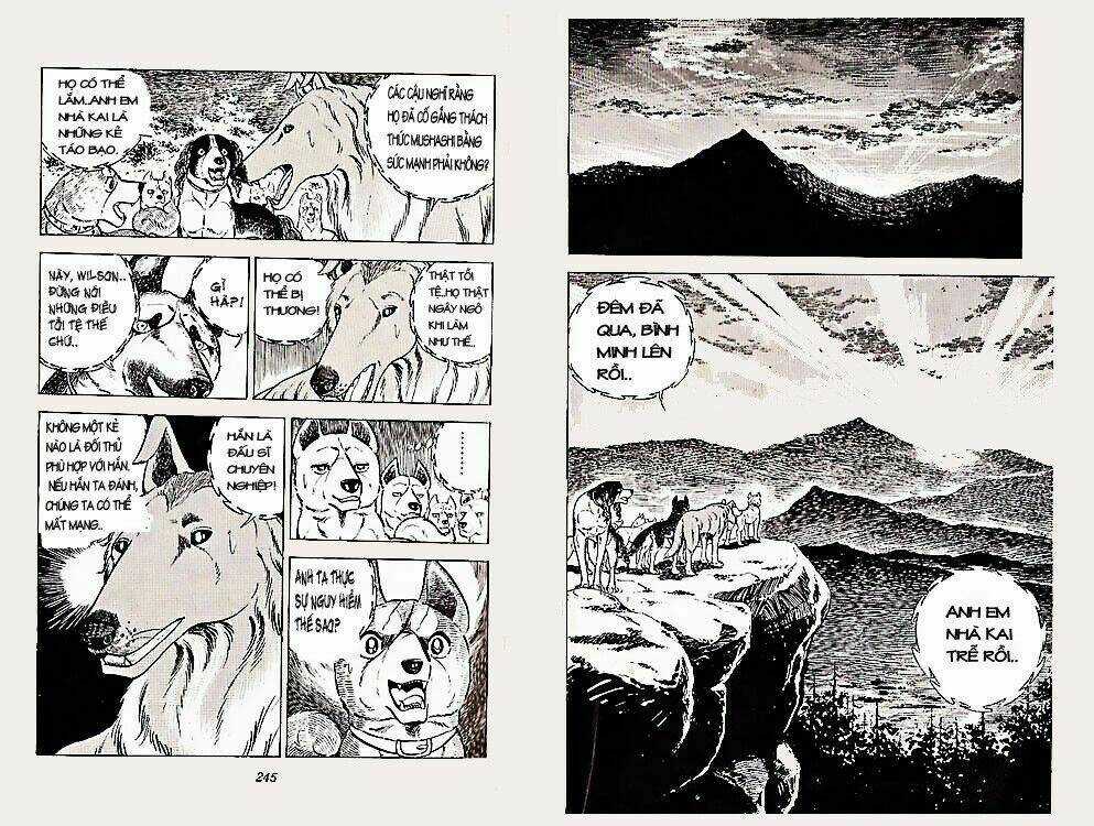 Chú Chó Có Nghĩa - Ginga Nagareboshi Gin Chapter 22 trang 21