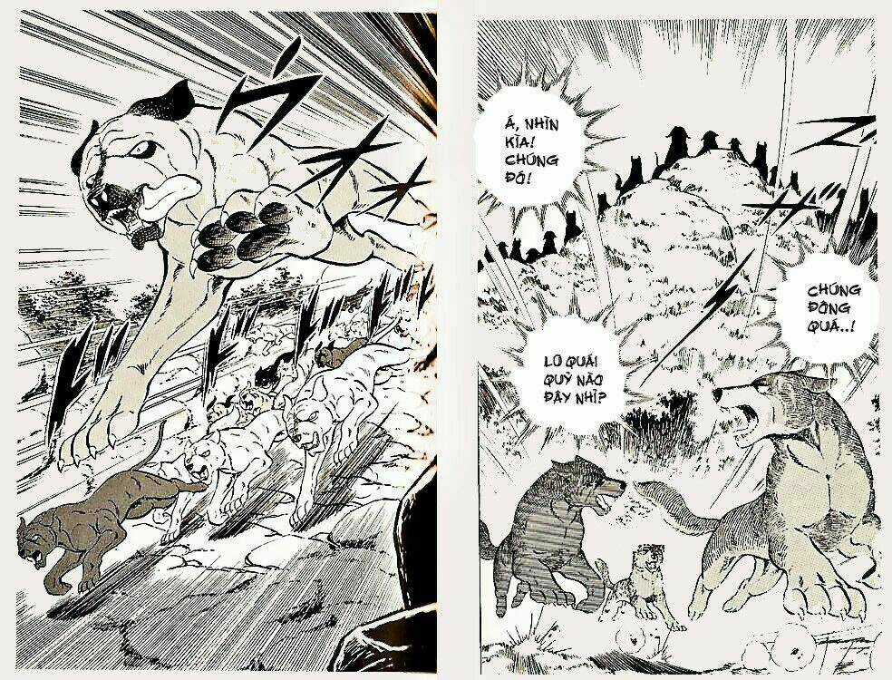 Chú Chó Có Nghĩa - Ginga Nagareboshi Gin Chapter 22 trang 25
