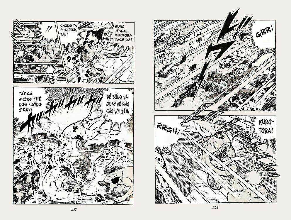 Chú Chó Có Nghĩa - Ginga Nagareboshi Gin Chapter 22 trang 27