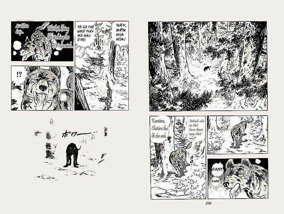 Chú Chó Có Nghĩa - Ginga Nagareboshi Gin Chapter 22 trang 28