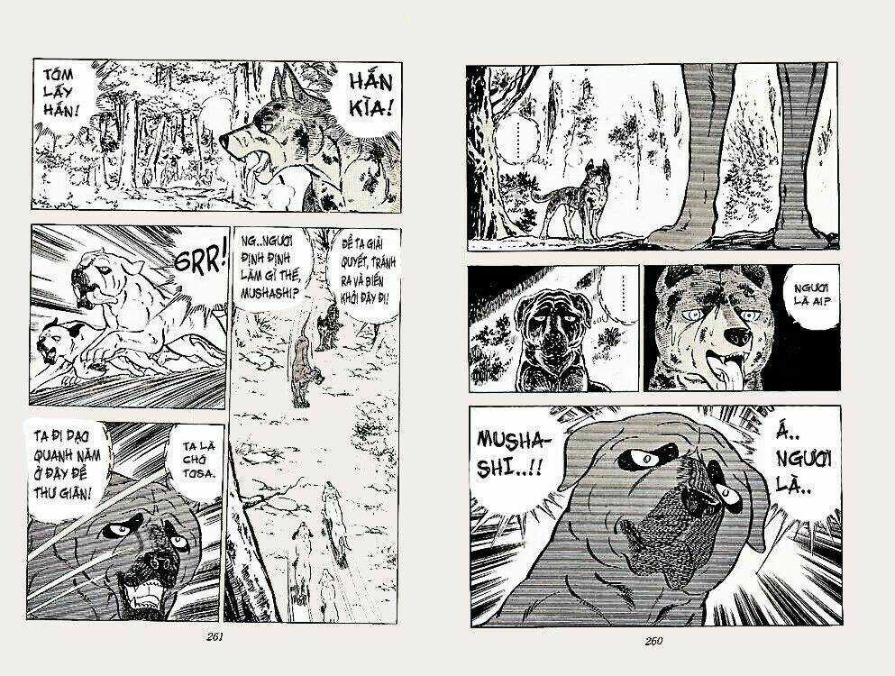 Chú Chó Có Nghĩa - Ginga Nagareboshi Gin Chapter 22 trang 29