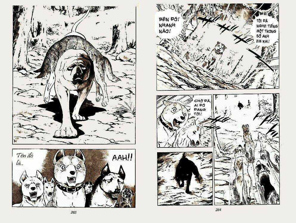 Chú Chó Có Nghĩa - Ginga Nagareboshi Gin Chapter 22 trang 31