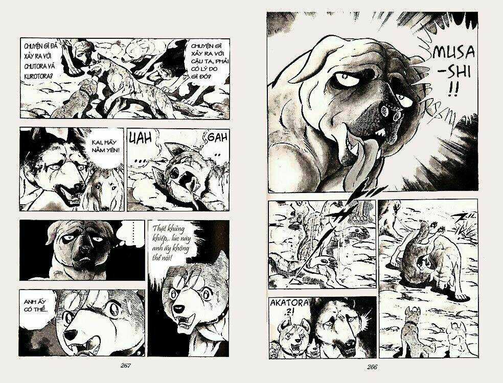 Chú Chó Có Nghĩa - Ginga Nagareboshi Gin Chapter 22 trang 32