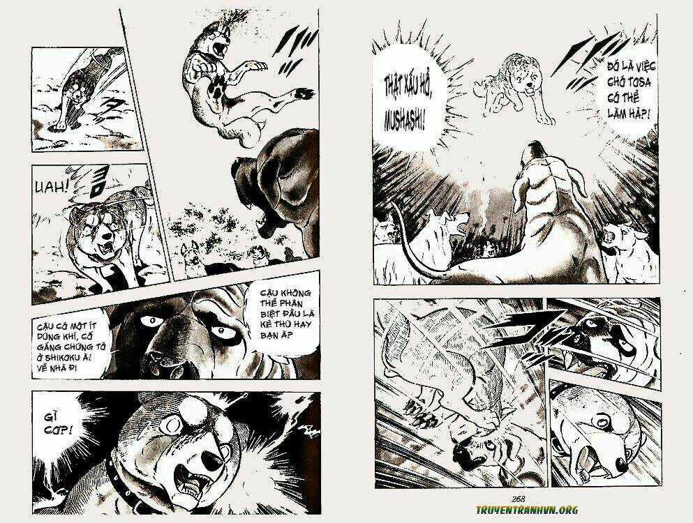 Chú Chó Có Nghĩa - Ginga Nagareboshi Gin Chapter 22 trang 33