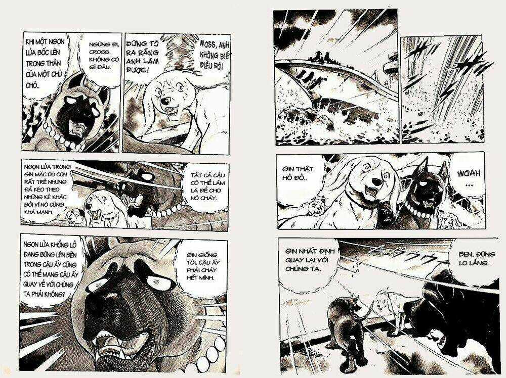 Chú Chó Có Nghĩa - Ginga Nagareboshi Gin Chapter 22 trang 9