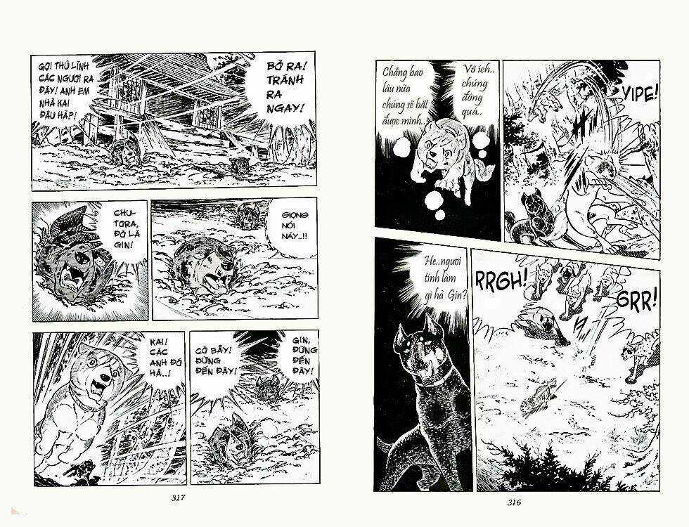 Chú Chó Có Nghĩa - Ginga Nagareboshi Gin Chapter 23 trang 21