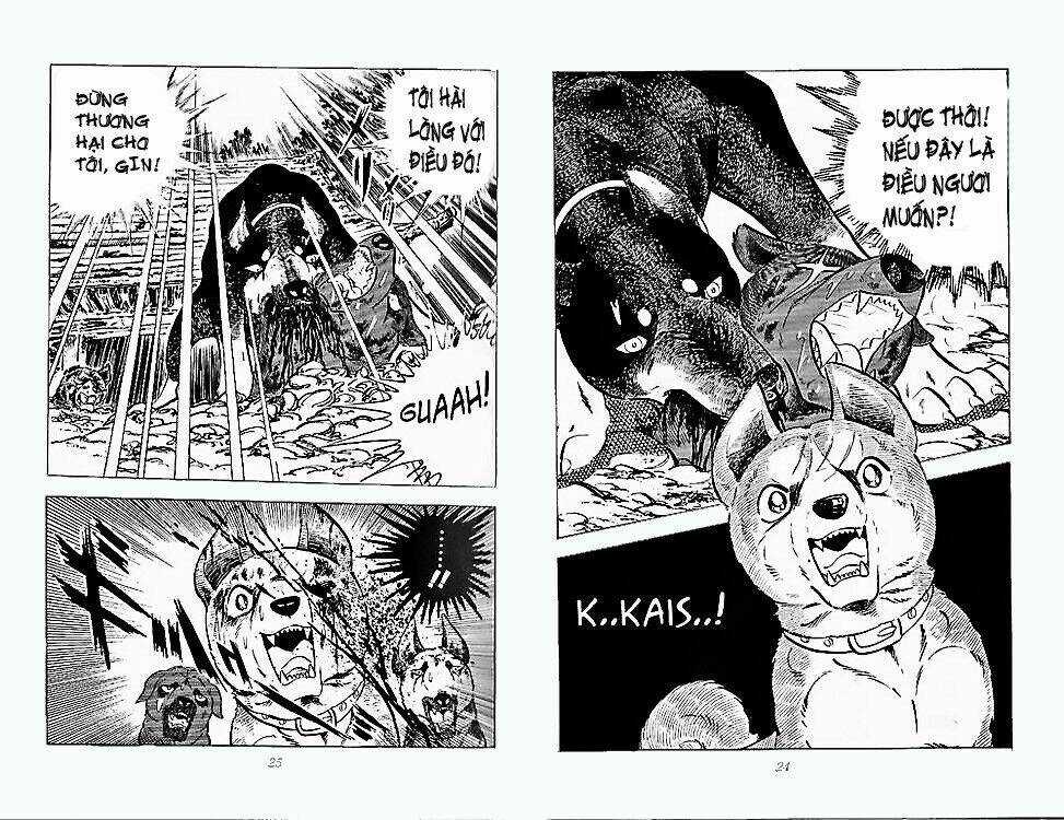 Chú Chó Có Nghĩa - Ginga Nagareboshi Gin Chapter 24 trang 10