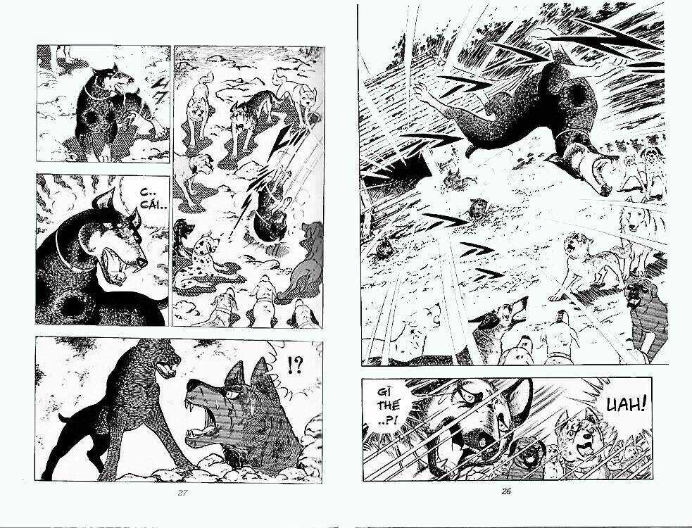 Chú Chó Có Nghĩa - Ginga Nagareboshi Gin Chapter 24 trang 11