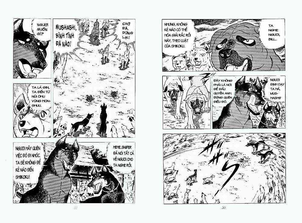 Chú Chó Có Nghĩa - Ginga Nagareboshi Gin Chapter 24 trang 13