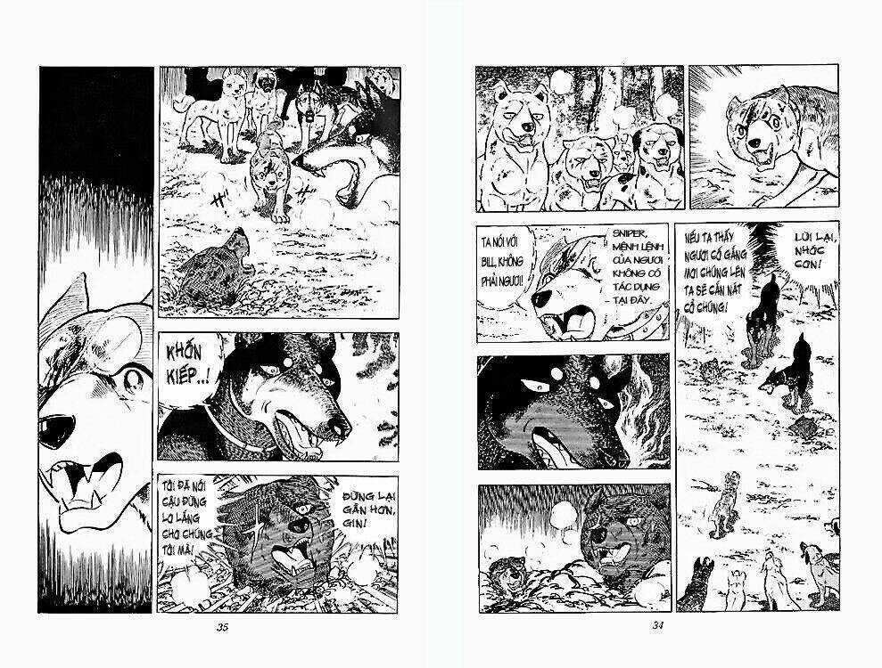 Chú Chó Có Nghĩa - Ginga Nagareboshi Gin Chapter 24 trang 15