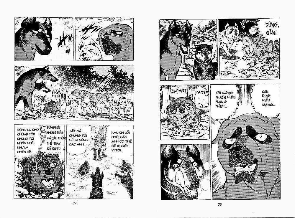 Chú Chó Có Nghĩa - Ginga Nagareboshi Gin Chapter 24 trang 16