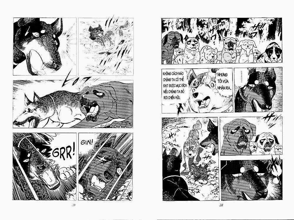 Chú Chó Có Nghĩa - Ginga Nagareboshi Gin Chapter 24 trang 17
