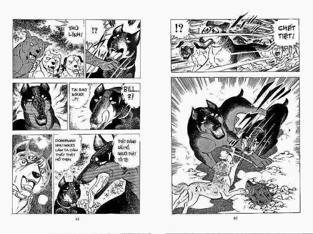 Chú Chó Có Nghĩa - Ginga Nagareboshi Gin Chapter 24 trang 18