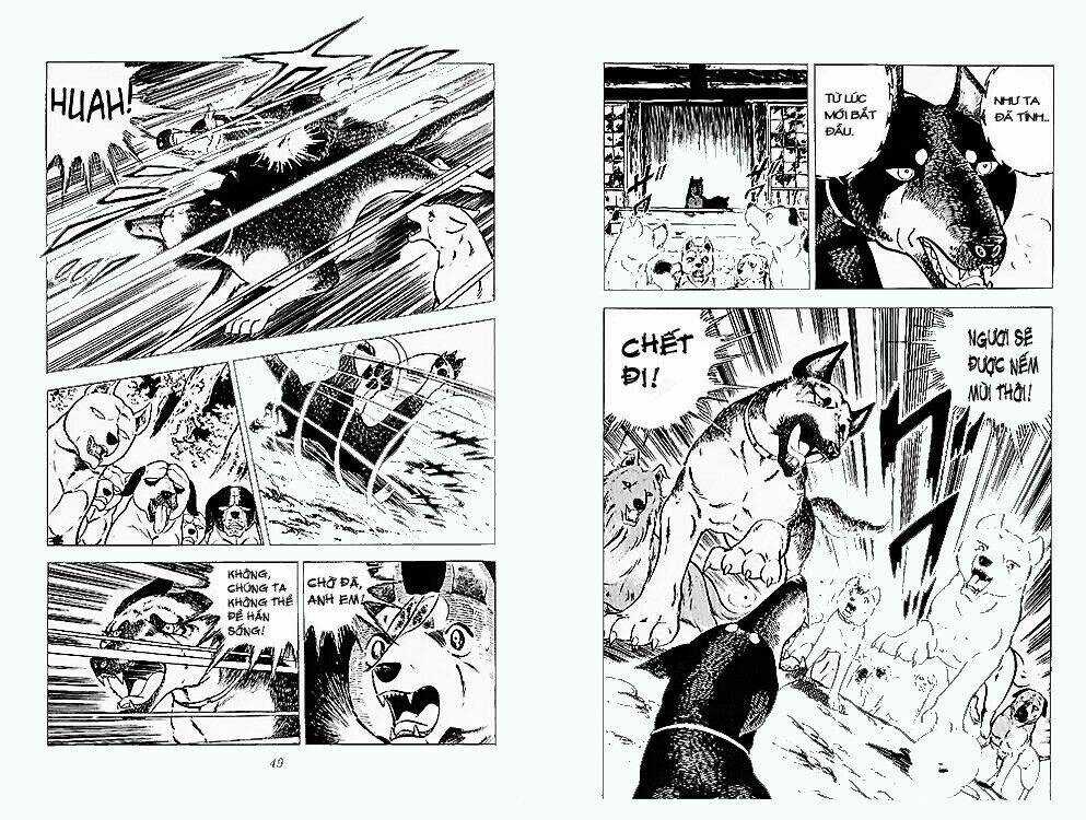 Chú Chó Có Nghĩa - Ginga Nagareboshi Gin Chapter 24 trang 22