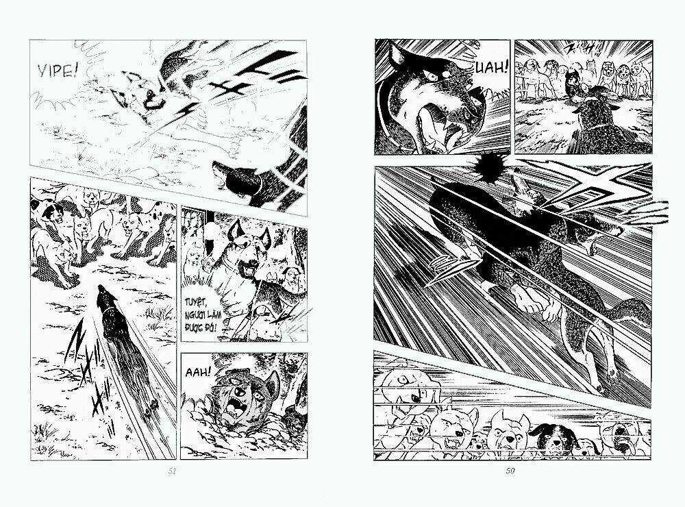 Chú Chó Có Nghĩa - Ginga Nagareboshi Gin Chapter 24 trang 23