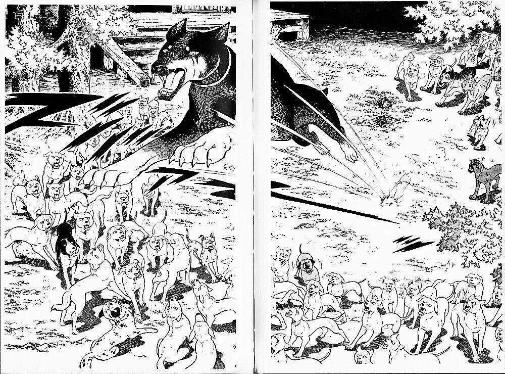 Chú Chó Có Nghĩa - Ginga Nagareboshi Gin Chapter 24 trang 24