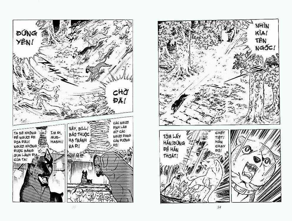 Chú Chó Có Nghĩa - Ginga Nagareboshi Gin Chapter 24 trang 25