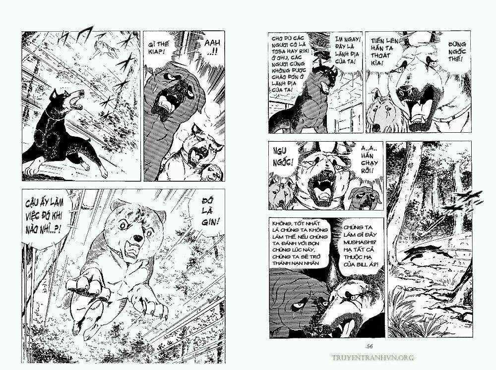 Chú Chó Có Nghĩa - Ginga Nagareboshi Gin Chapter 24 trang 26