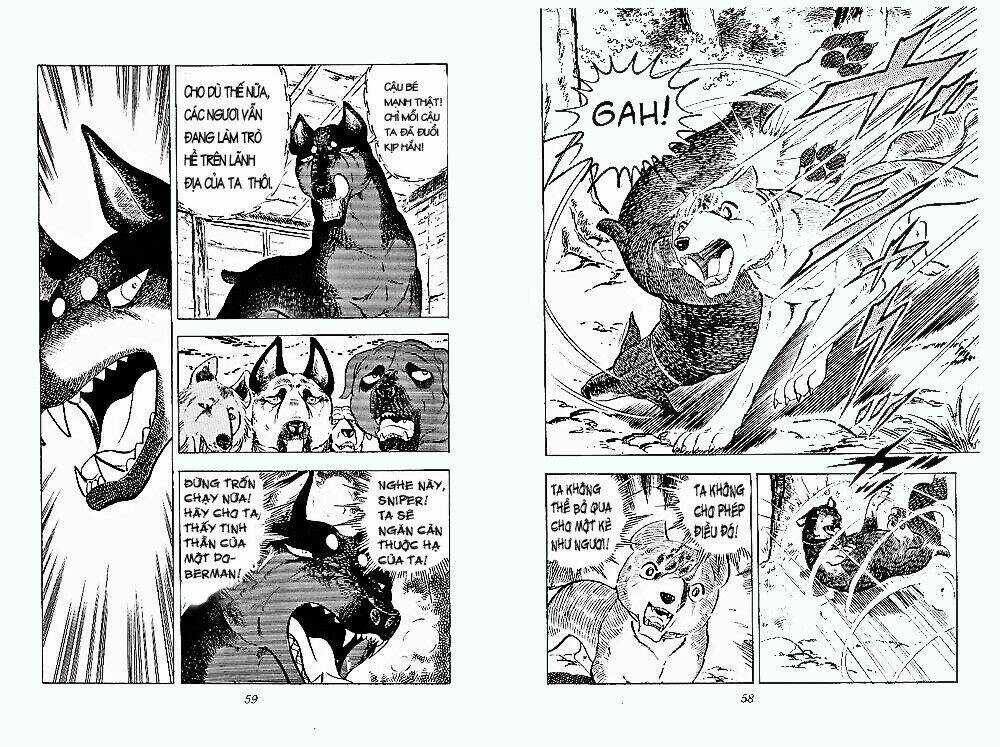 Chú Chó Có Nghĩa - Ginga Nagareboshi Gin Chapter 24 trang 27