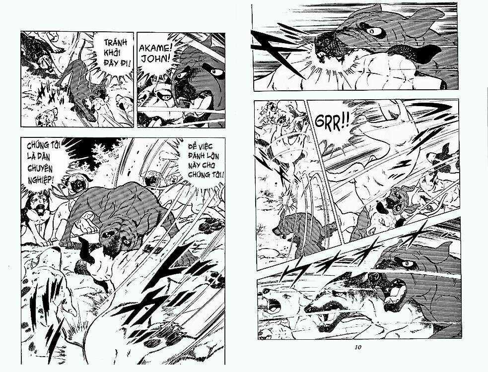 Chú Chó Có Nghĩa - Ginga Nagareboshi Gin Chapter 24 trang 3