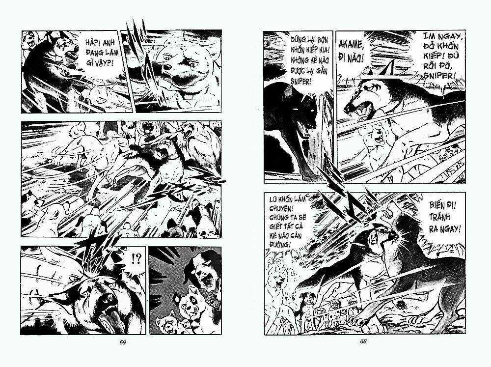 Chú Chó Có Nghĩa - Ginga Nagareboshi Gin Chapter 24 trang 32