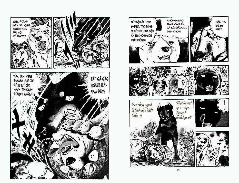 Chú Chó Có Nghĩa - Ginga Nagareboshi Gin Chapter 24 trang 34