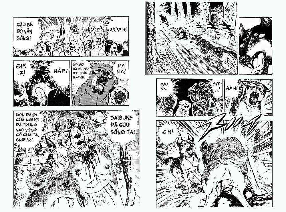 Chú Chó Có Nghĩa - Ginga Nagareboshi Gin Chapter 24 trang 39