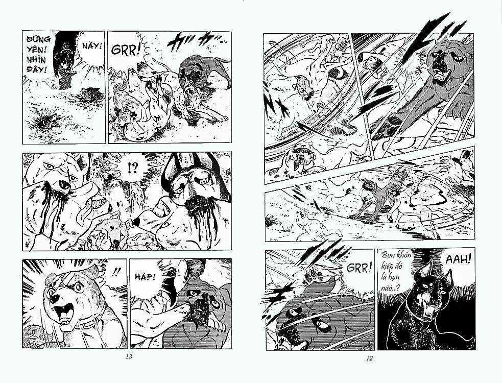 Chú Chó Có Nghĩa - Ginga Nagareboshi Gin Chapter 24 trang 4