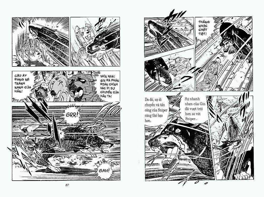 Chú Chó Có Nghĩa - Ginga Nagareboshi Gin Chapter 24 trang 41