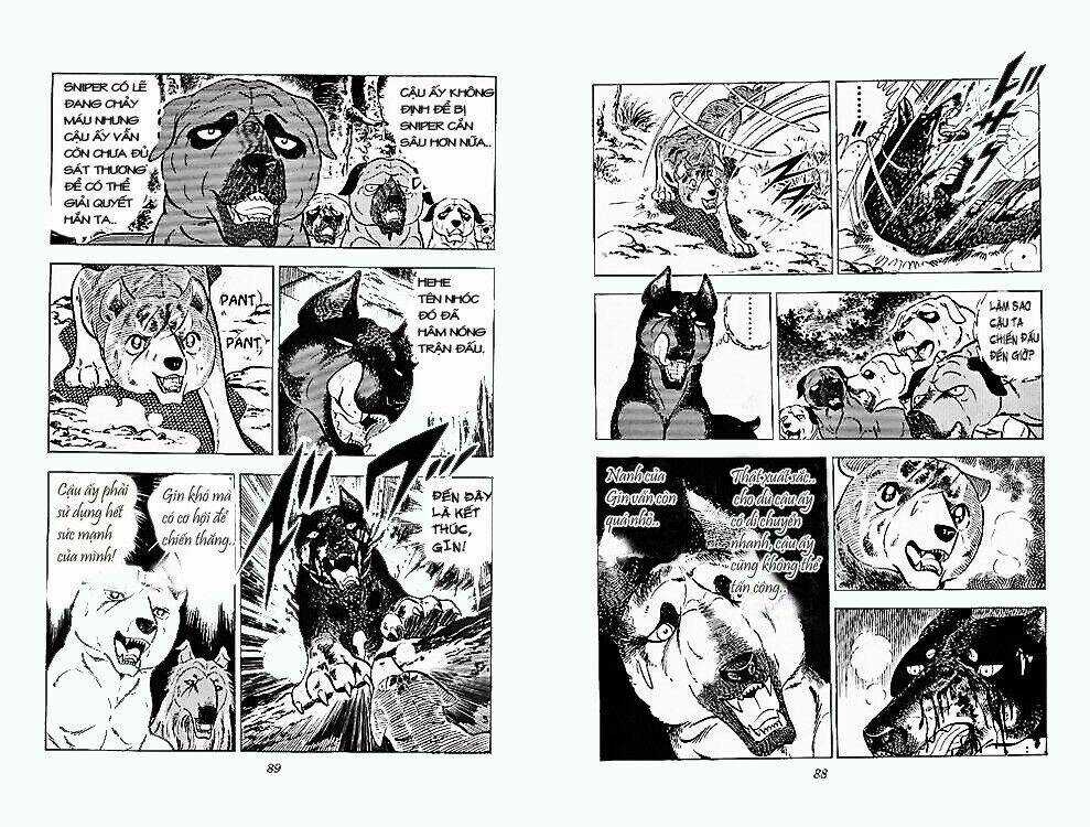 Chú Chó Có Nghĩa - Ginga Nagareboshi Gin Chapter 24 trang 42