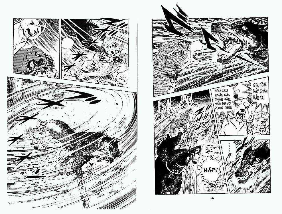 Chú Chó Có Nghĩa - Ginga Nagareboshi Gin Chapter 24 trang 43