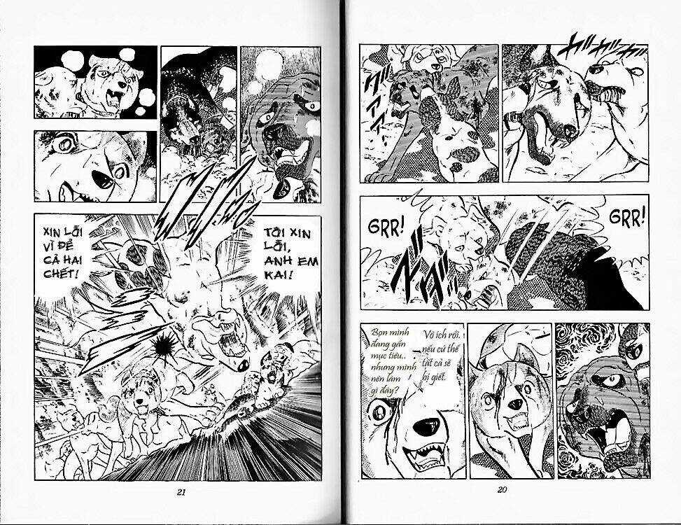 Chú Chó Có Nghĩa - Ginga Nagareboshi Gin Chapter 24 trang 8