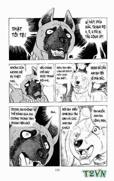 Chú Chó Có Nghĩa - Ginga Nagareboshi Gin Chapter 25 trang 12