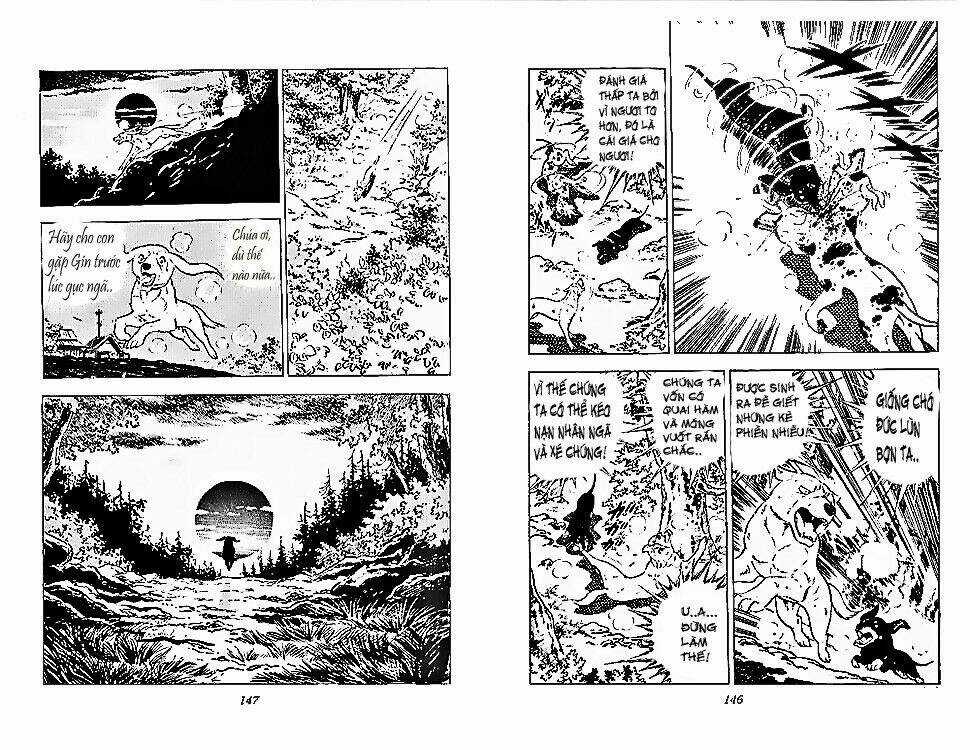 Chú Chó Có Nghĩa - Ginga Nagareboshi Gin Chapter 26 trang 11