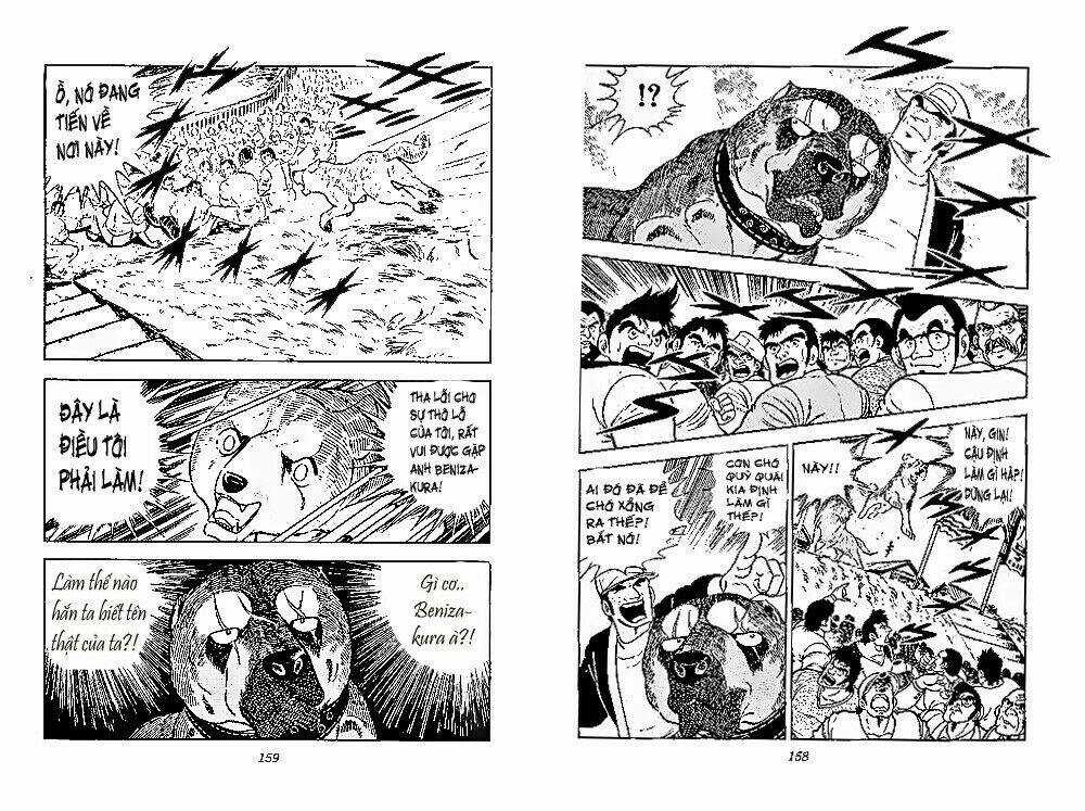 Chú Chó Có Nghĩa - Ginga Nagareboshi Gin Chapter 26 trang 17