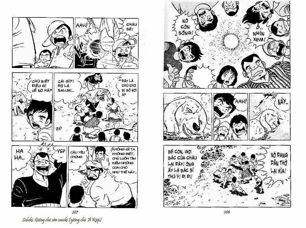 Chú Chó Có Nghĩa - Ginga Nagareboshi Gin Chapter 26 trang 21