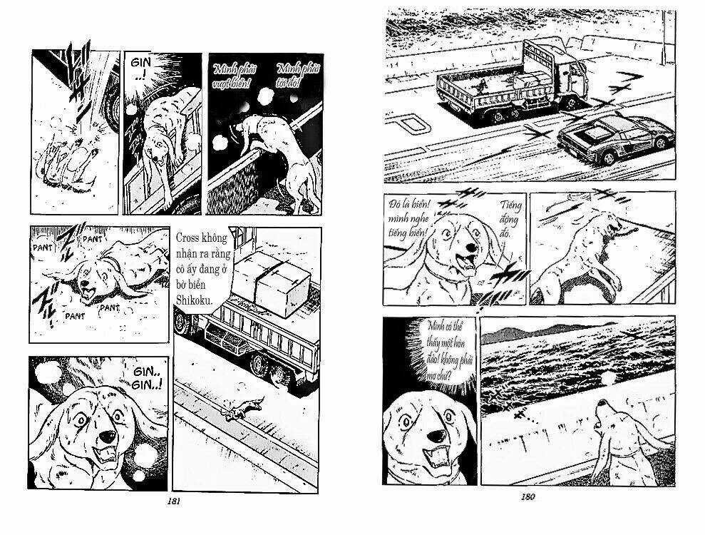 Chú Chó Có Nghĩa - Ginga Nagareboshi Gin Chapter 26 trang 28