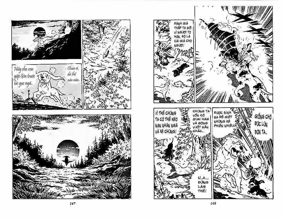 Chú Chó Có Nghĩa - Ginga Nagareboshi Gin Chapter 28 trang 11