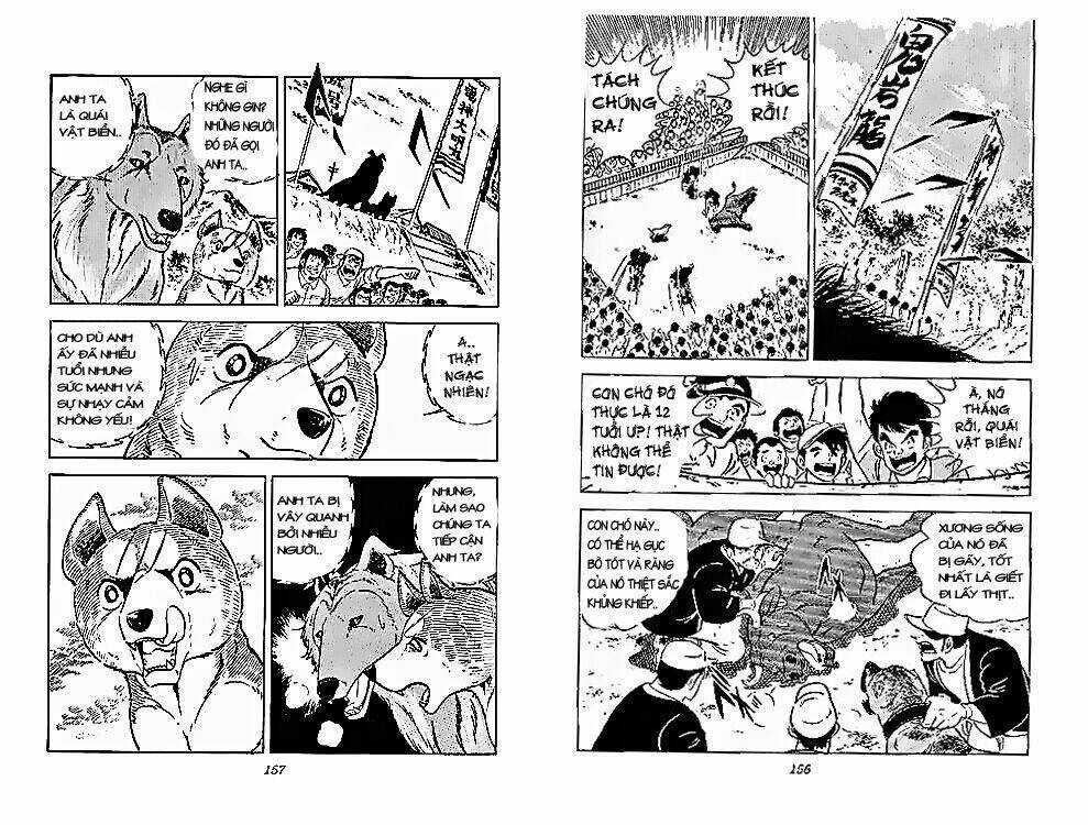 Chú Chó Có Nghĩa - Ginga Nagareboshi Gin Chapter 28 trang 16