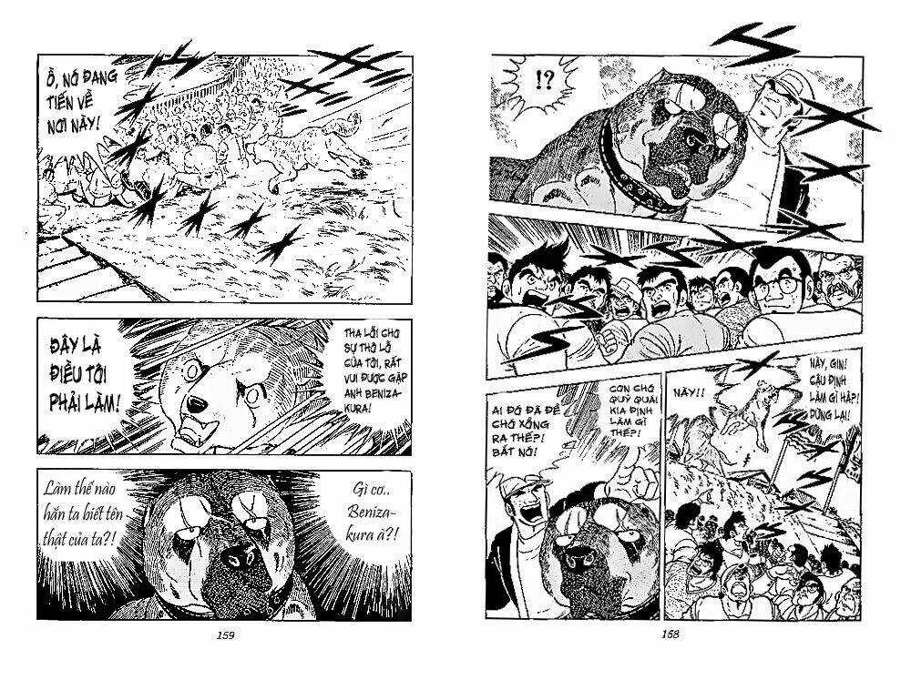 Chú Chó Có Nghĩa - Ginga Nagareboshi Gin Chapter 28 trang 17