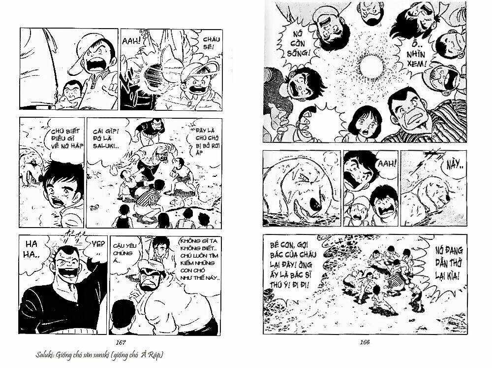 Chú Chó Có Nghĩa - Ginga Nagareboshi Gin Chapter 28 trang 21