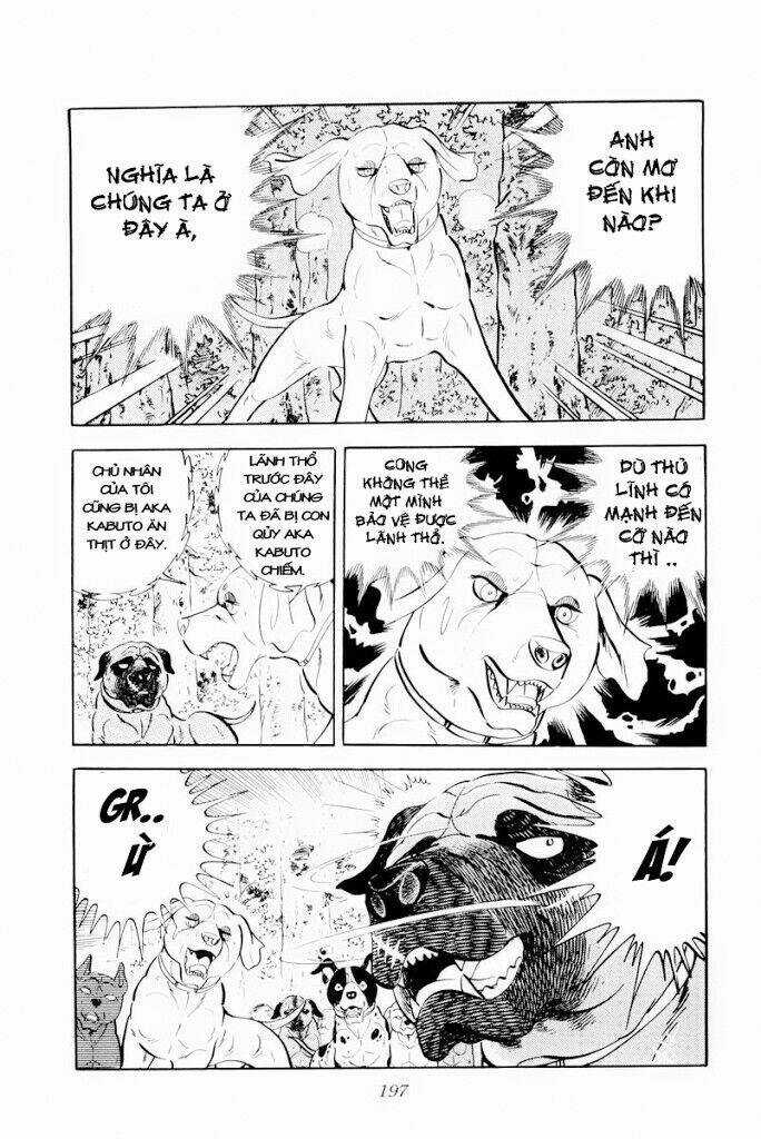 Chú Chó Có Nghĩa - Ginga Nagareboshi Gin Chapter 29.1 trang 10