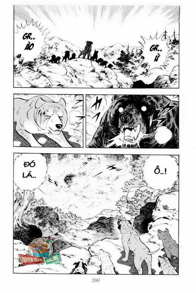 Chú Chó Có Nghĩa - Ginga Nagareboshi Gin Chapter 29.1 trang 13
