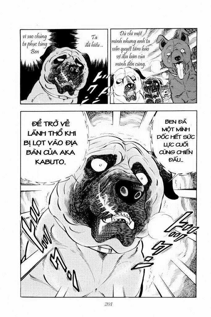 Chú Chó Có Nghĩa - Ginga Nagareboshi Gin Chapter 29.1 trang 14