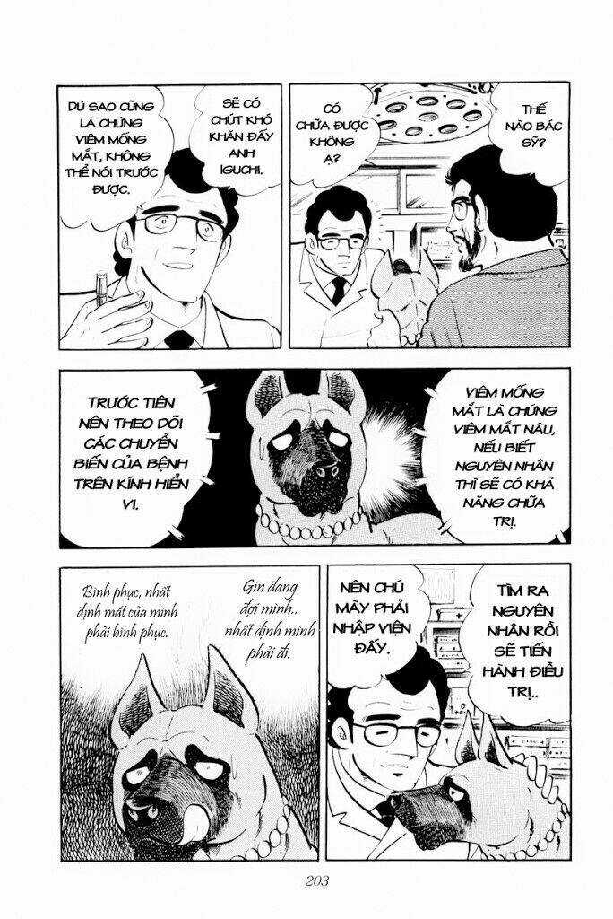 Chú Chó Có Nghĩa - Ginga Nagareboshi Gin Chapter 29.1 trang 16