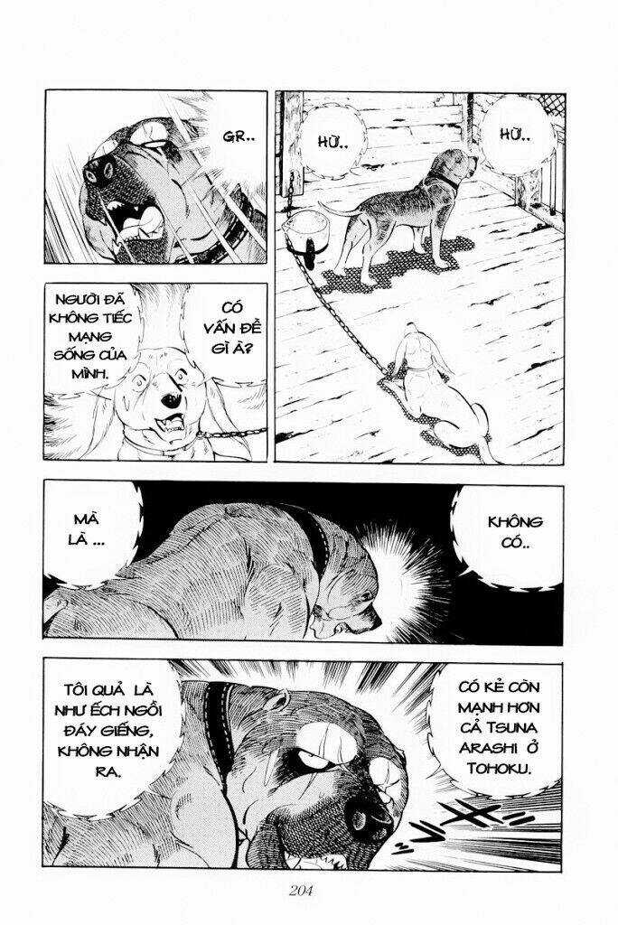 Chú Chó Có Nghĩa - Ginga Nagareboshi Gin Chapter 29.1 trang 17