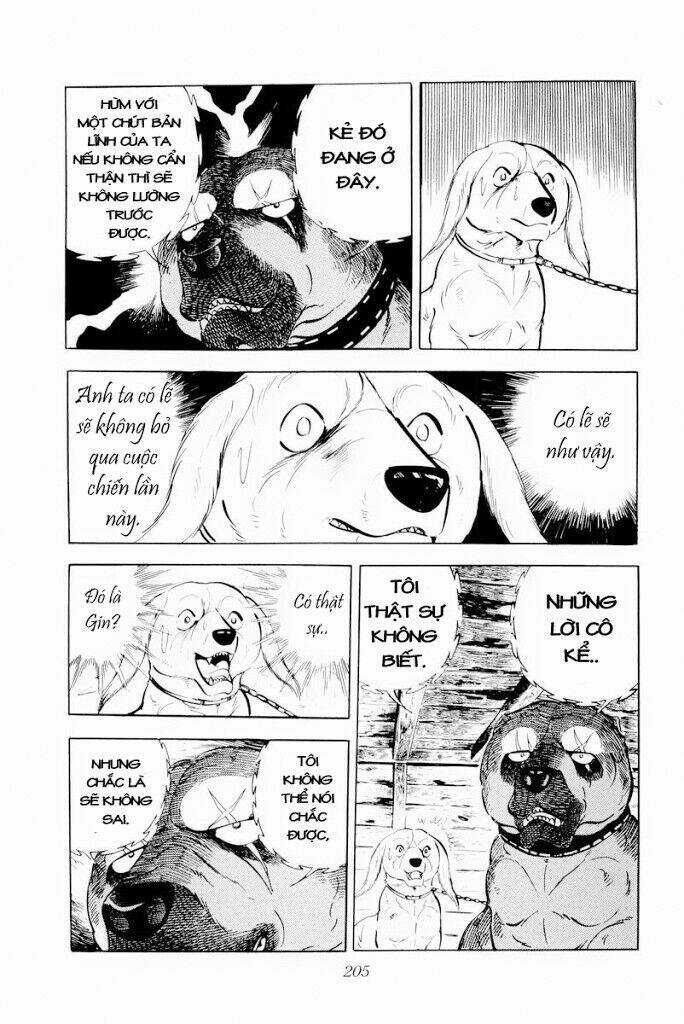 Chú Chó Có Nghĩa - Ginga Nagareboshi Gin Chapter 29.1 trang 18
